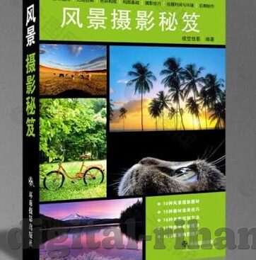 糖心app图片-糖心APP与社交影像的新篇章